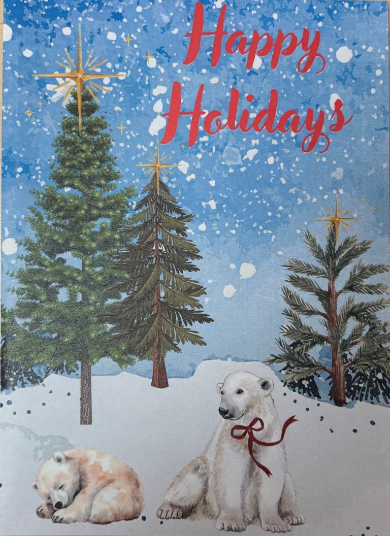 Wellspring Clubhouse Holiday Card Fundraiser
